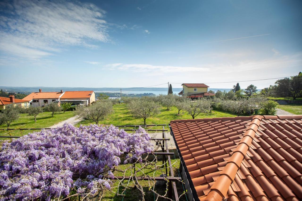Apartments And Rooms Jeselnik Portorož Exterior foto